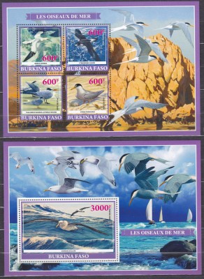 DB1 Fauna Burkina Faso Pasari Marine MS + SS MNH foto