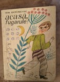 Ion Ochinciuc-Acasa,fugarule!
