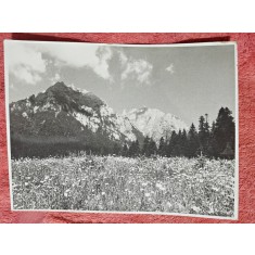 Fotografie, Piscul Caraiman
