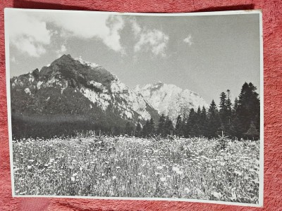 Fotografie, Piscul Caraiman foto