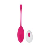 Ou Vibrator Kate Remote Control 10 Moduri Vibratii Silicon USB Roz Deschis Passion Labs, Sensations