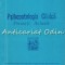 Psihopatologia Clinica. Proiectii Actuale - T. Pirozynski