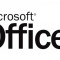 Microsoft Office 2003 Professional, VL [Software PC]