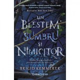 Distrugatorii de blesteme, Un blestem sumbru si nimicitor, Brigid Kemmerer, Vol. I