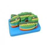 Cumpara ieftin Puzzle suprapus din lemn- Crocodil, Wooden Toys