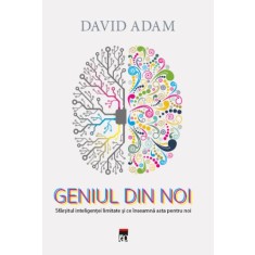 Geniul din noi - David Adam