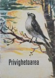 Privighetoarea - Simion Florea Marian (putin uzata)
