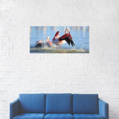 Tablou Canvas, Pasarea Flamingo pe apa - 30 x 60 cm foto