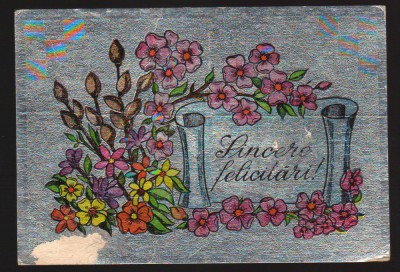 CPIB 19861 CARTE POSTALA - SINCERE FELICITARI, ARGINTIE foto