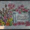 CPIB 19861 CARTE POSTALA - SINCERE FELICITARI, ARGINTIE