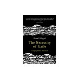 The Necessity of Exile: Essays from a Distance