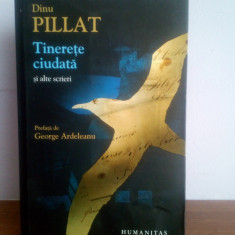 Dinu Pillat – Tinerete ciudata