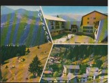 CPI B13957 CARTE POSTALA - MUNTII LOTRULUI LA VOINEASA, MOZAIC, Circulata, Fotografie