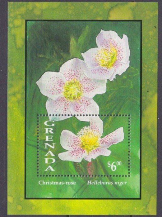 GRENADA 1993 FLORI ORHIDEE
