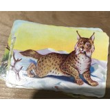 (2) Act Surprize reclama la Cafea Brasov