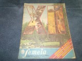 REVISTA FEMEIA NR 3 1979