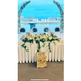 Inchiriere decor complet pentru masa mirilor