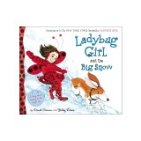 Ladybug Girl and the Big Snow