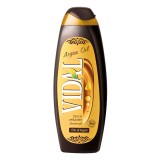 Gel de dus Vidal Argan Oil, 500ml