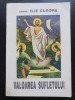 Valoarea sufletului - Ilie Cleopa