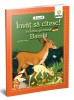 Bambi, - Editura Gama, 2016