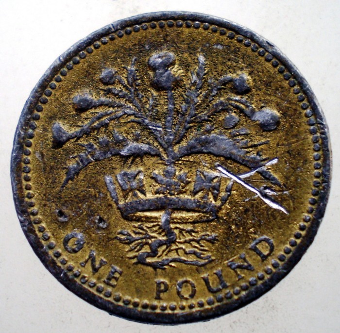 1.025 MAREA BRITANIE SCOTIA 1 ONE POUND 1984 FALS