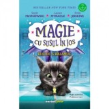 Magie cu susul in jos. Bucluc &amp;amp;amp; balamuc - Lauren Myracle, Sarah Mlynowski, Maria-Magdalena Costea, Emily Jenkins