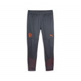 Pantalon de trening Fotbal Puma Replică Manchester City 23/24 Adulți