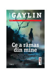 Ce a rămas din mine - Paperback brosat - Alison Gaylin - Trei