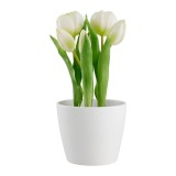 Cumpara ieftin Lalea artificială I &icirc;n verde/alb, 25cm