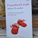 Pantofiorii rosii. Incredibila lectie de viata a unei fetite care moare de cancer la patru ani - Maria Housden