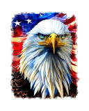 Cumpara ieftin Sticker decorativ, Vultur American, Maro, 70 cm, 6839ST, Oem