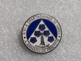 Insigna A 11-a Spartachiada de iarna a armatelor prietene