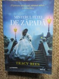 Tracy Rees - Misterul fetei de zapada
