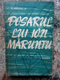 C. IGNATESCU - DOSARUL LUI ION MARUNTU