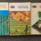 HEINRICH CEL VERDE - Gottfried Keller (3 volume - complet)