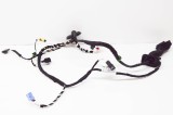 Cablaj ușă dreapta spate VW TIGUAN AD1 2019 OEM: 5NC971162J 11728699