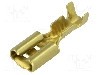 Terminal tip plat, pentru surub {{Orificiu pentru &amp;#351;urub}}, BM GROUP - BM 01148