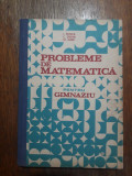 Probleme de matematica pentru gimnaziu - I. Petrica / R8P4S, Alta editura