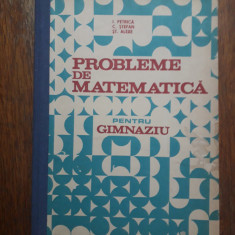 Probleme de matematica pentru gimnaziu - I. Petrica / R8P4S