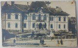 Campulung, Primaria orasului// CP