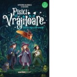 Pisici si vrajitoare. Boacane, magii si alte minunatii - Ilinca Ganga, Catherine Kalengula