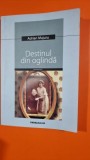 Destinul din oglinda - Adrian Majuru
