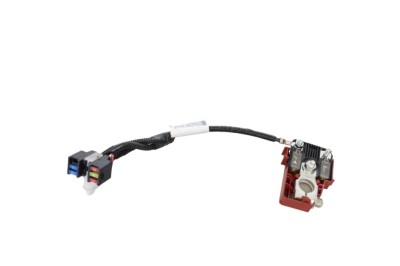 Borna cablu baterie LEXUS NX _Z1_ 2021 OEM: 7134-7411,82817-78220 24674585 foto