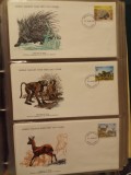 FAUNA WWF - 3 PLICURI PRIMA ZI
