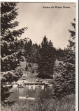 CPIB 22412 - CARTE POSTALA - VEDERE DIN POIANA BRASOV, RPR