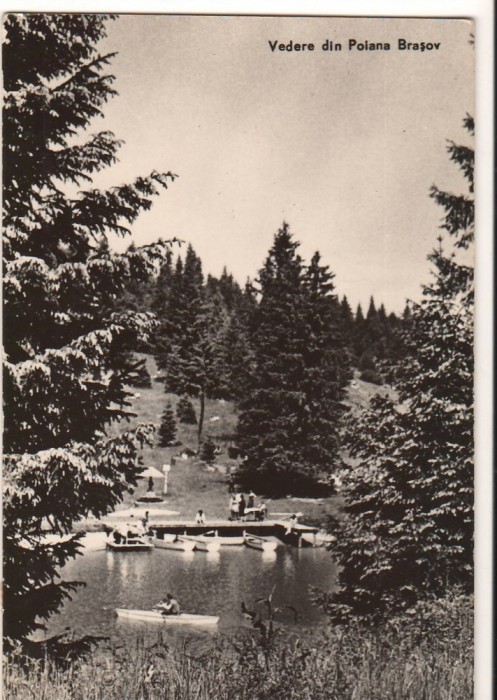 CPIB 22412 - CARTE POSTALA - VEDERE DIN POIANA BRASOV, RPR