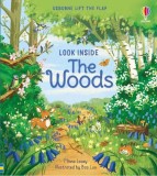 Look Inside the Woods | Minna Lacey, Usborne Publishing Ltd