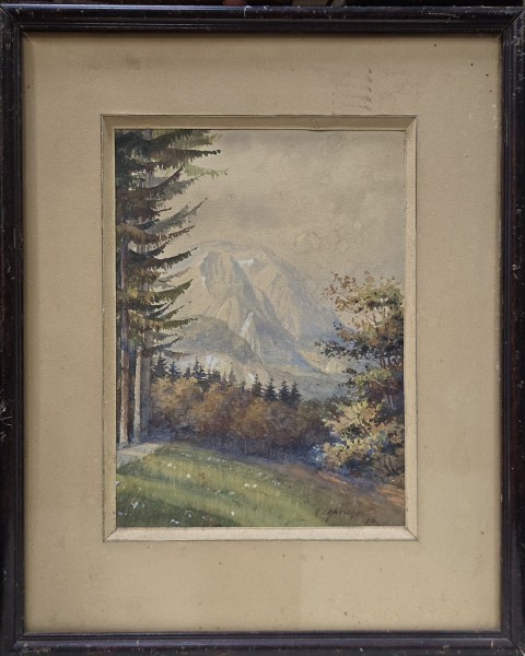 Hans Aescher (19)05 - Vedere spre Caraiman