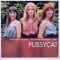 Pussycat Essential (cd)